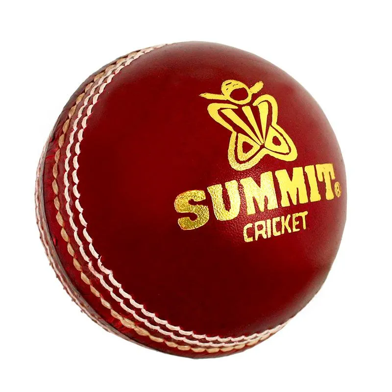 SUMMIT Ball Master 2pc Leather Cricket Ball