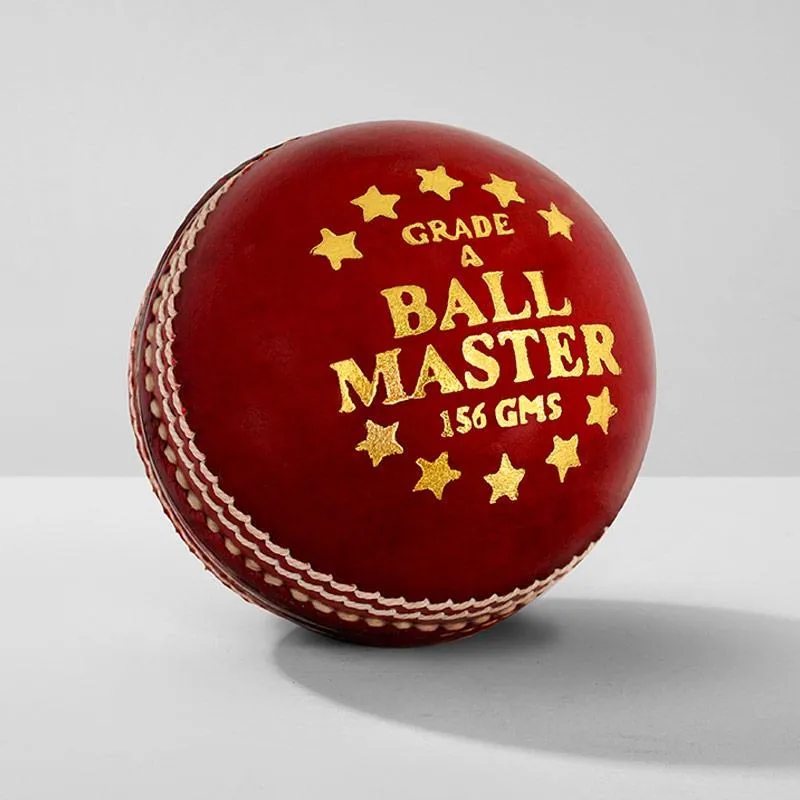 SUMMIT Ball Master 2pc Leather Cricket Ball